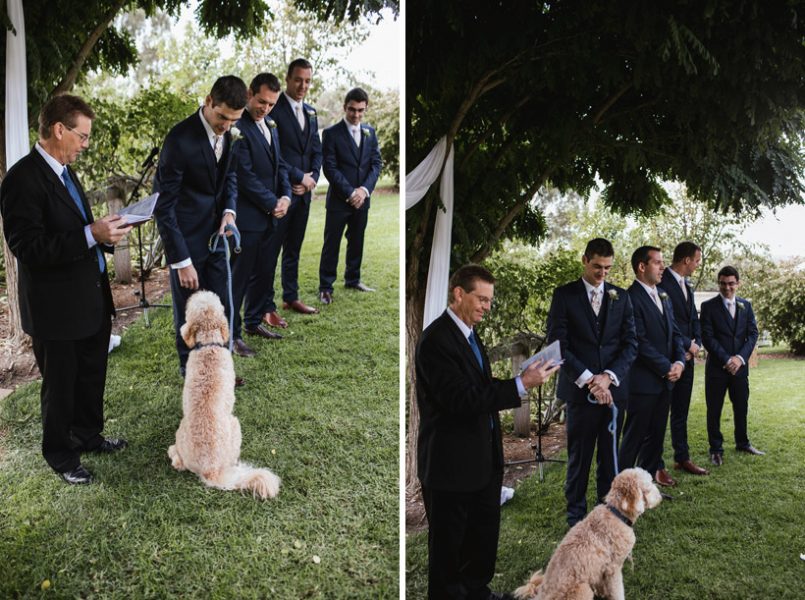 Garden Wedding Groom Photographer