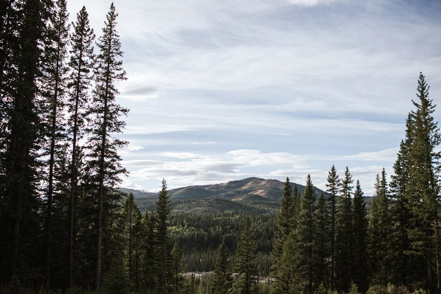 Kylie & Graham's Mountain Wedding Party Photographs