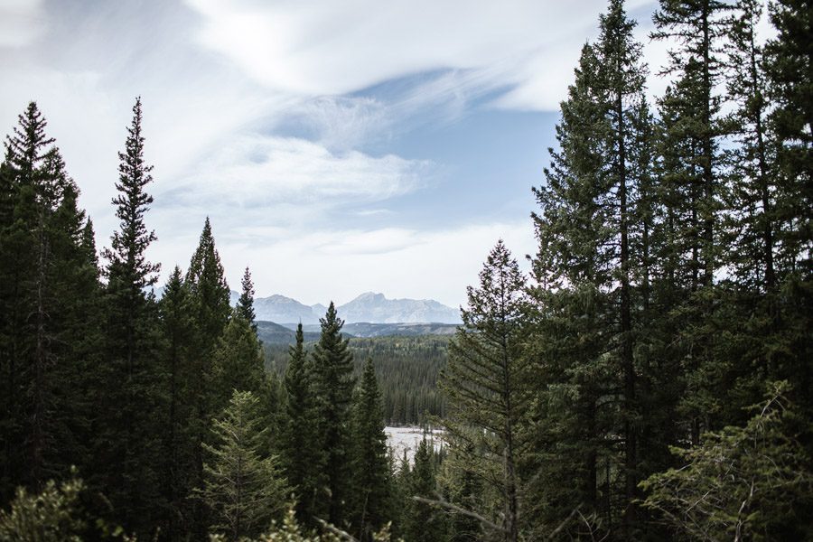 Mountain Wedding Photographer