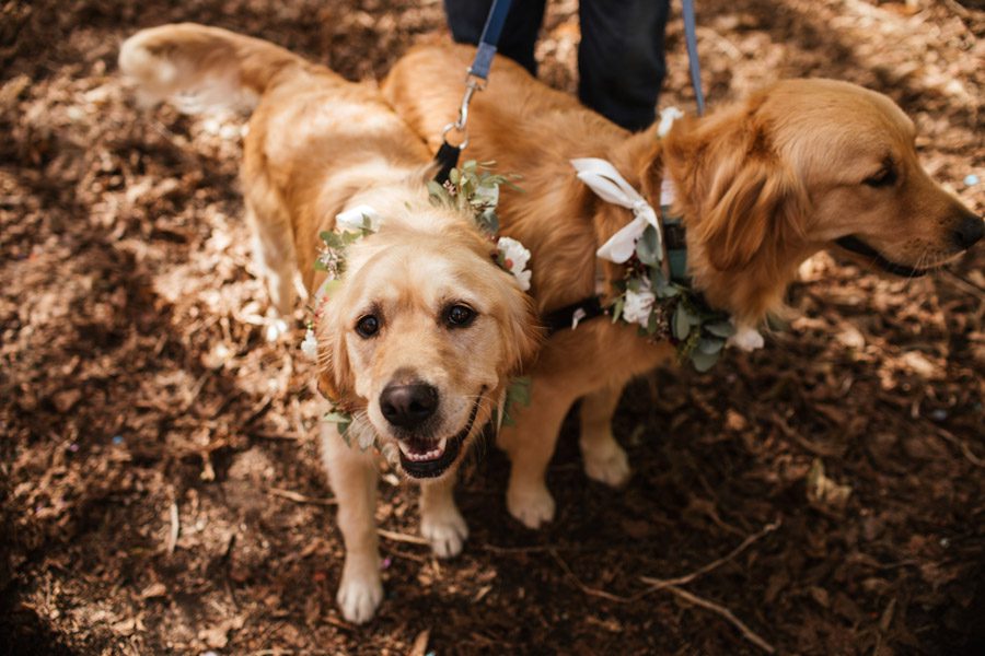 rustic wedding photographers