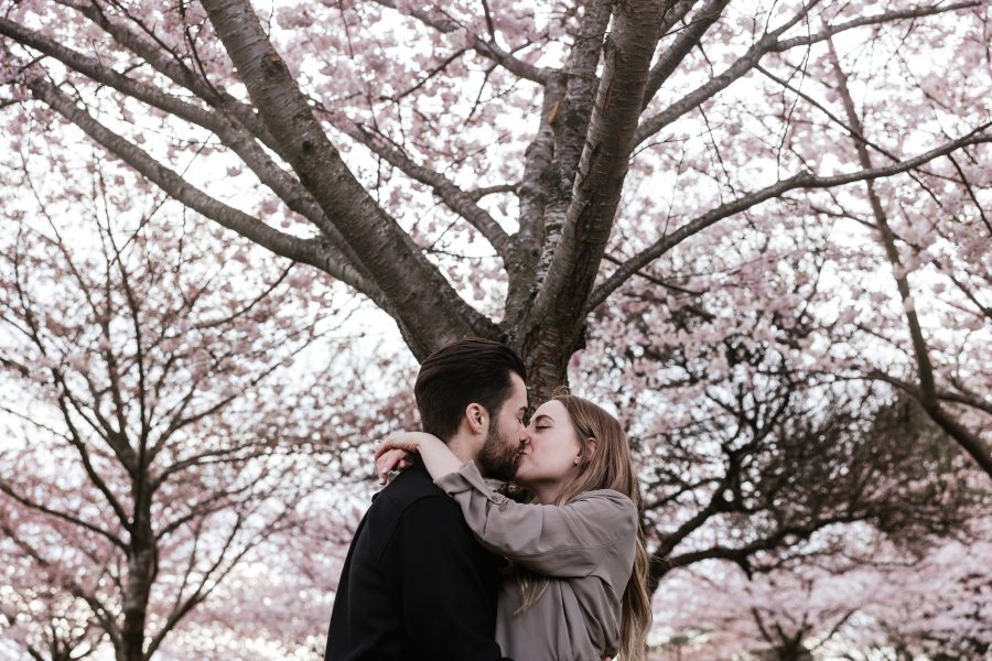 Engagement Session Photograph